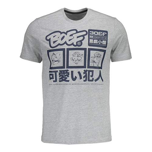 BOEF CONSEPT 001 GRAY